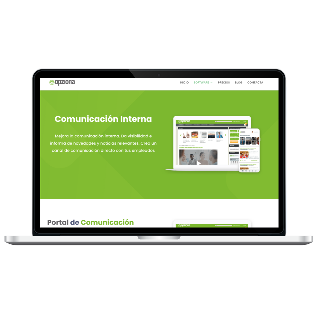 posicionamiento web opziona